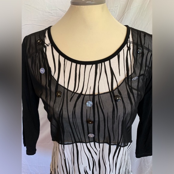 Funky Zebra stripes and embroidery /mesh tunic - Picture 3 of 8